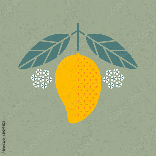 Mango illustration. Mango with leaves and flowers on shabby background. Flat design. Original simple flat illustration. Shabby style.