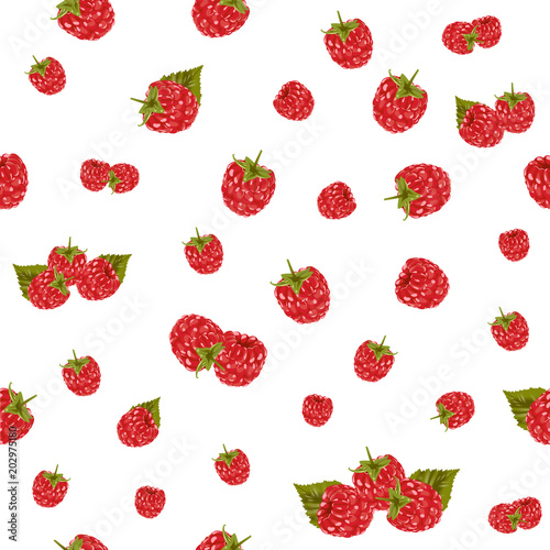 Seamless pattern of realistic one fresh raspberry fruit isolated on white background. Red berry pattern. Exotic summer raspberry texture. Textile decoration with fruits. Vegetarian food vector. Organi