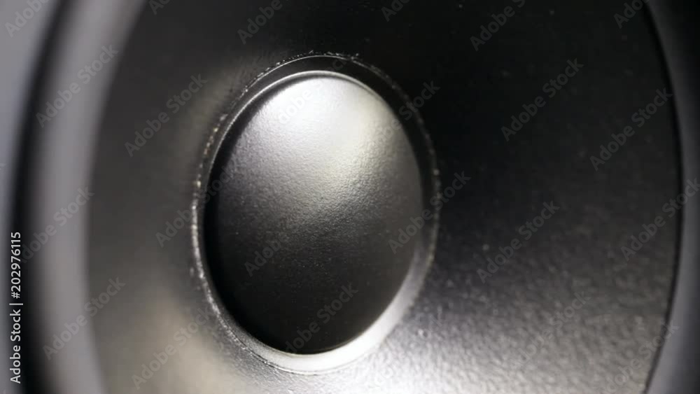Close up of speaker in work. No sound. Close up of speaker in work. No sound.