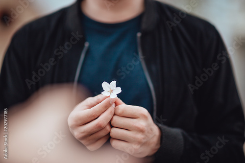 Mann hält Kirschblüte in den Händen