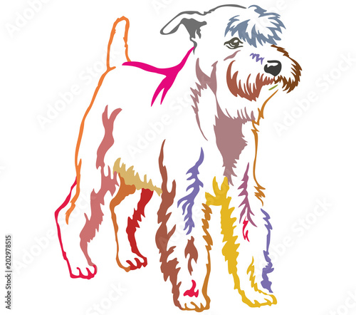 Colorful decorative standing portrait of Miniature Schnauzer vector illustration