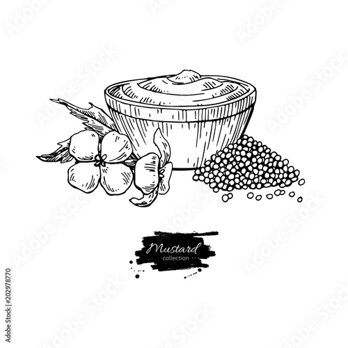 Mustardi sauce in bowl vector drawing. Hand drawn food ingridient.