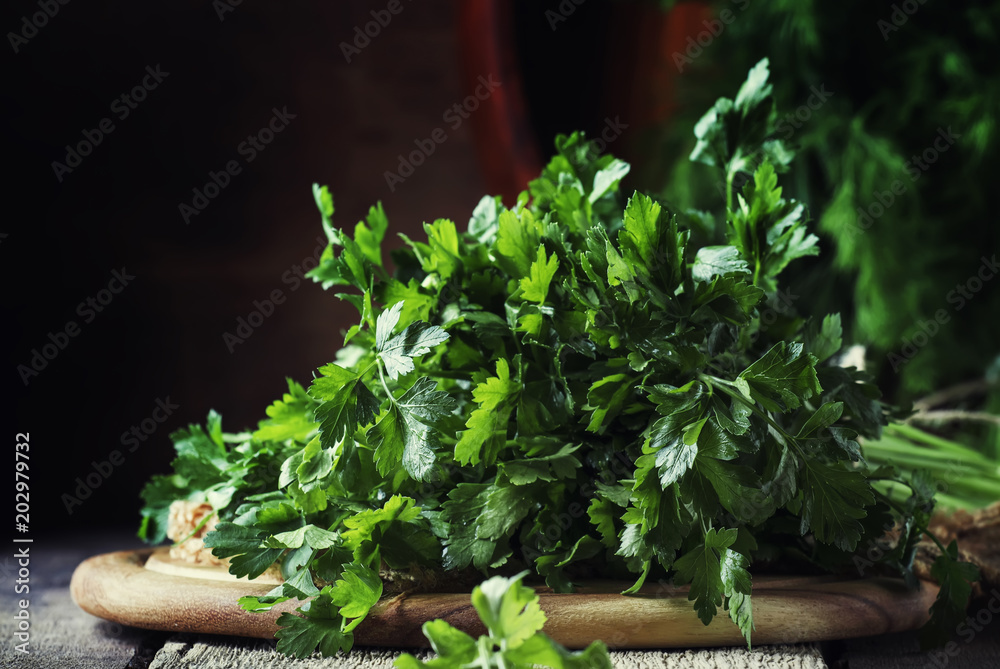 Big bunch of green italian parsley on the table, vintage wooden background, selective focus