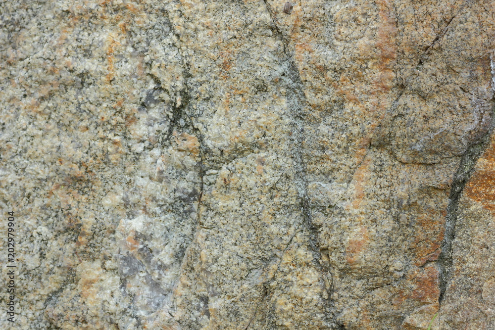 Natural stone granite texture, granite pattern. Stone background of mottled granite igneous rock used for kitchen worktops etc. Surface of the marble with brown tint. Minimalism Natural stone granite texture, granite pattern. Stone background of mottled granite igneous rock used for kitchen worktops etc. Surface of the marble with brown tint. Minimalism