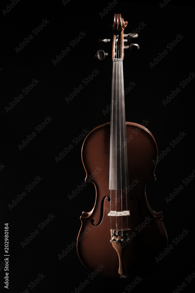 Violin musical instrument of orchestra Violin musical instrument of orchestra