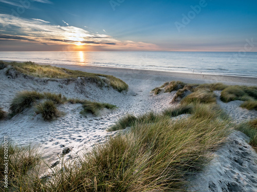 White sandy path within marram grass covered dunes leading towards the beach at sunset