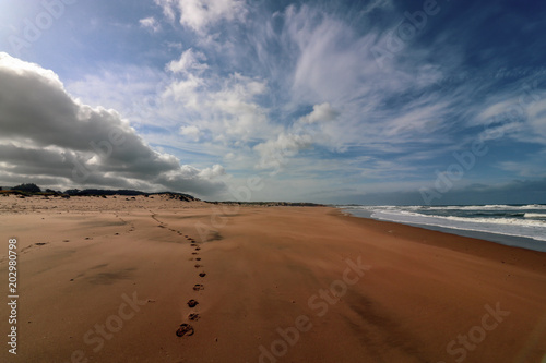 Footprints on the beach