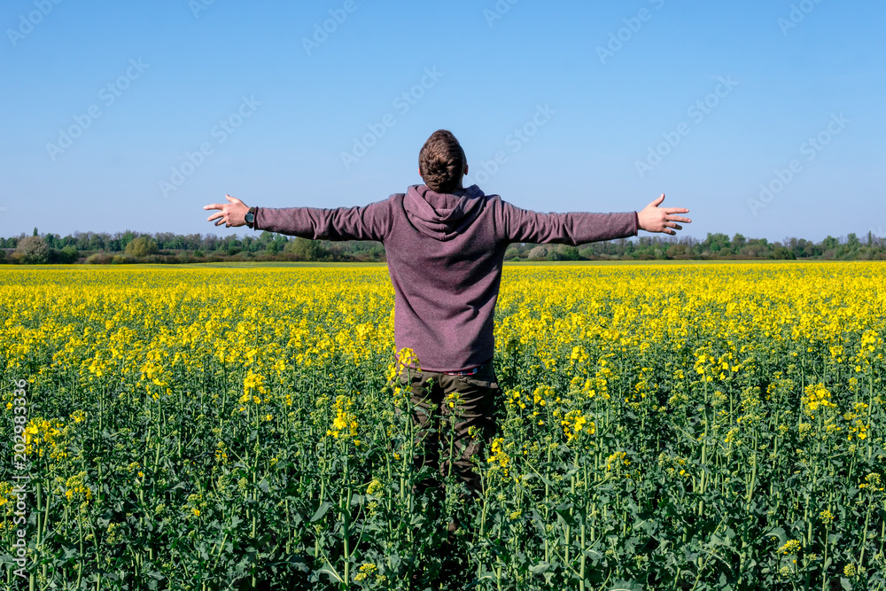 a man in a sweatshirt is standing in the field with arms spreading to the Field sown oilseed rape at the time of maximum spring flowering, biofuels. soil depletion from plants concept