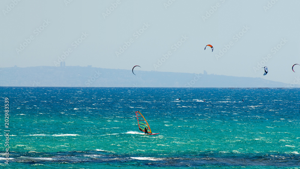 Seaview, windsurfer, kites