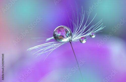 Abstract macro photo.Dandelion and water drops.Artistic Background for desktop. Flowers  with pastel tones.Tranquil abstract closeup art photography.Print for Wallpaper.Floral fantasy design.