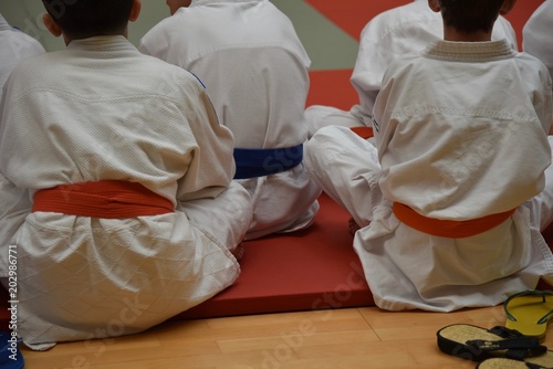 Manifestazione di ragazzi che praticano judo