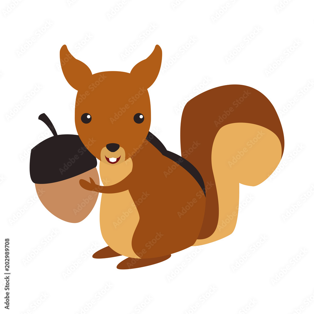 Squirrel wild animal vector illustration graphic design Squirrel wild animal vector illustration graphic design