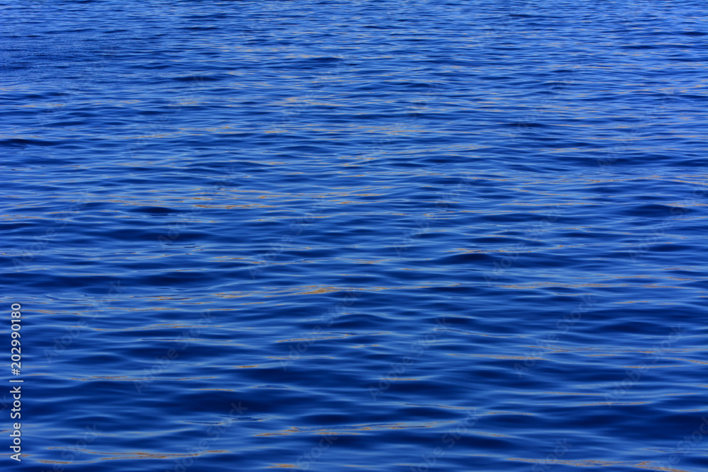 A small wave in the shallows is far from the shore against the background of the blue sky and the transparent sea off the coast of the unique Ras Mohammed reserve. Magnificent diving, summer, rest. A small wave in the shallows is far from the shore against the background of the blue sky and the transparent sea off the coast of the unique Ras Mohammed reserve. Magnificent diving, summer, rest.