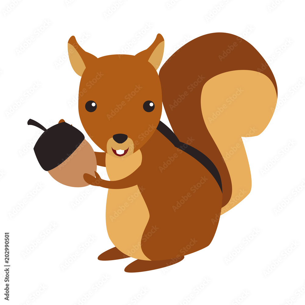 Obraz premium Squirrel wild animal vector illustration graphic design
