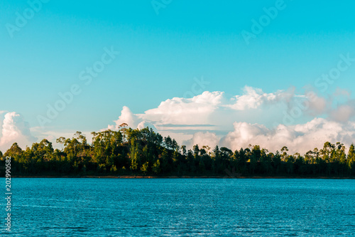 paisaje azul con árboles © Arboh