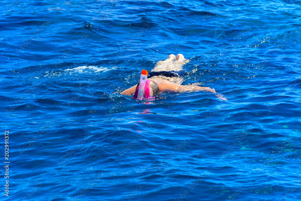 Tourists swim in the transparent turquoise sea and see beautiful colorful fish on the background of corals in the Red Sea. Relaxation during rest. Egypt.
