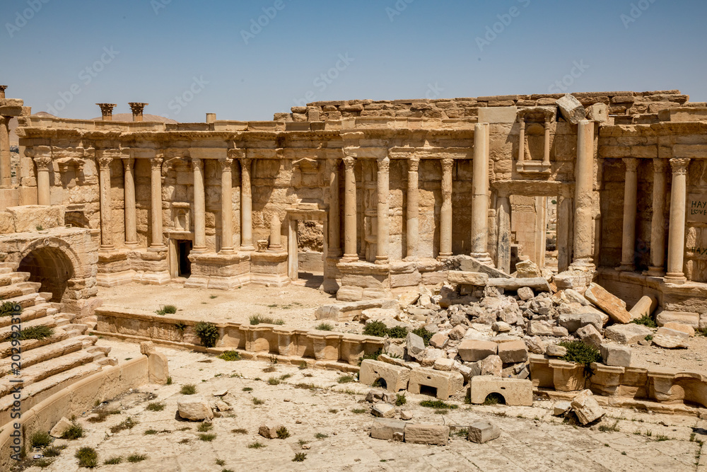 Palmyra today