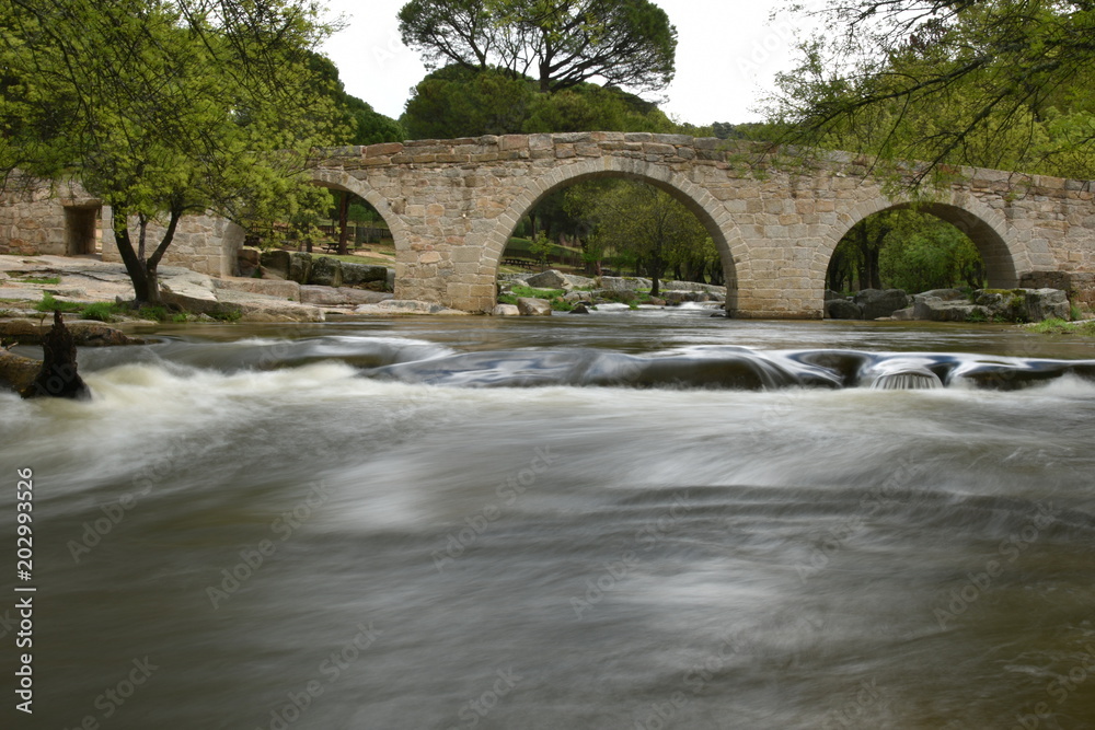 Puente sobe el rio cofio