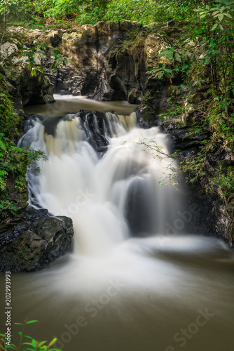 View of waterfall at Tawau Hills Park  Sabah  Malaysia