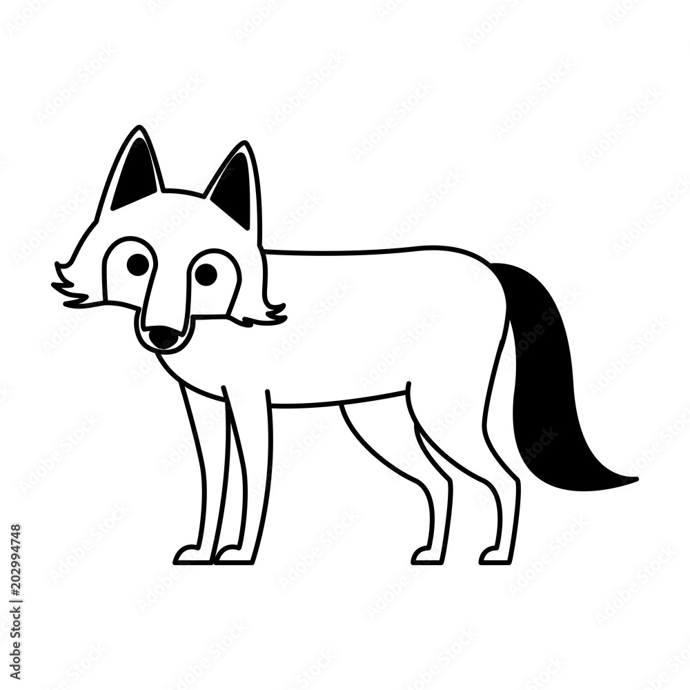 Wolf wild animal vector illustration graphic design
