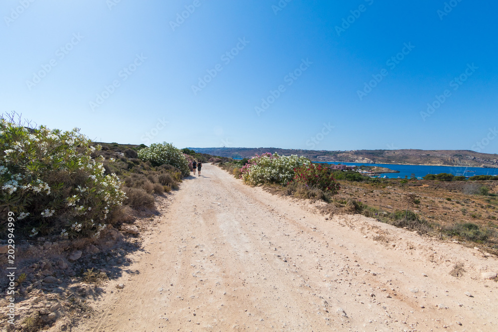 Young tourists walking along the path to St. Maria Bay and beach, through the wild countryside of Comino Island in the summer, June 2017