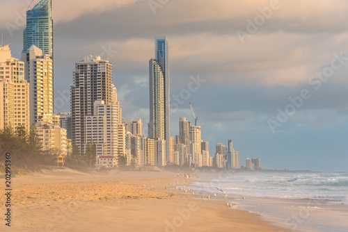 Picturesque beach with skyscrapers on the background © Olga K