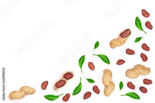 Peanuts decorated with green leaves isolated on white background, top view. Flat lay pattern