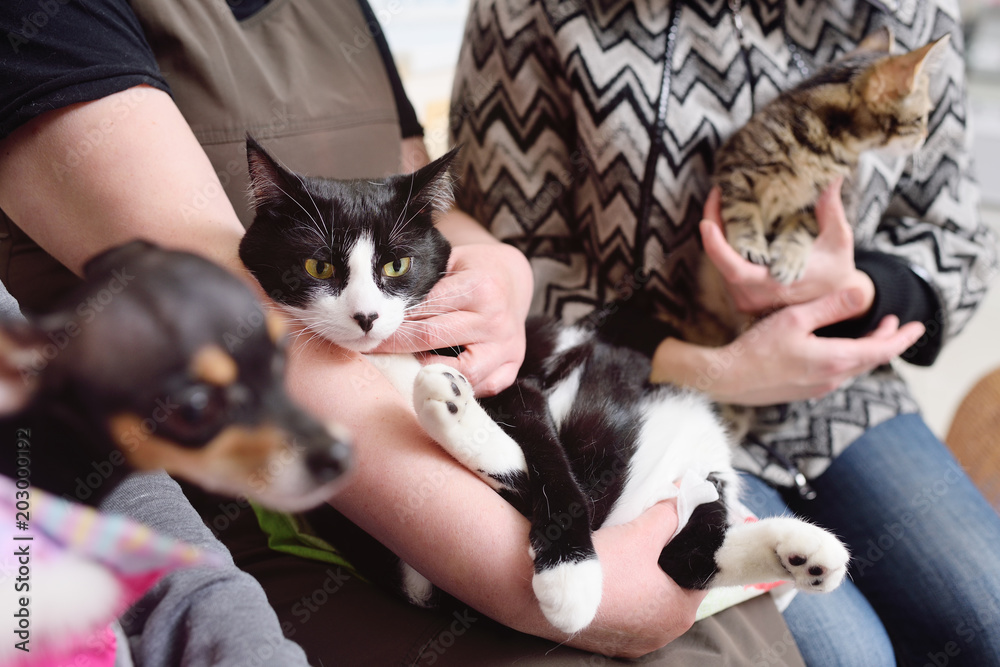 People with their pets are waiting for a medical examination at the veterinary clinic. Animal Health People with their pets are waiting for a medical examination at the veterinary clinic. Animal Health