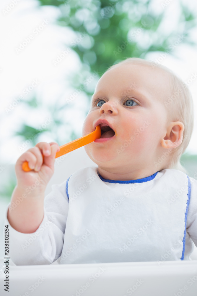 Baby holding a plastic spoon while putting it in his mouth Baby holding a plastic spoon while putting it in his mouth