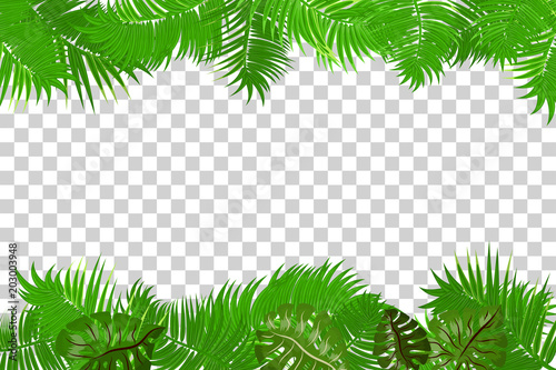 Web summer jungle frame banner. Green palm leaves template isolated transparent background. Vector abstract illustration. Realistic picture summer tropical Paradise mock up.