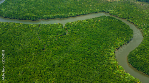 aerial view landscape of Tree or forest , Krabi Thailand