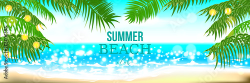 Beach club horizontal summer time palm tree banner. Palm leaf seashore sand. Ocean poster sunny tropical vector illustration. Hawaii landscape paradise. Colored party invitation.