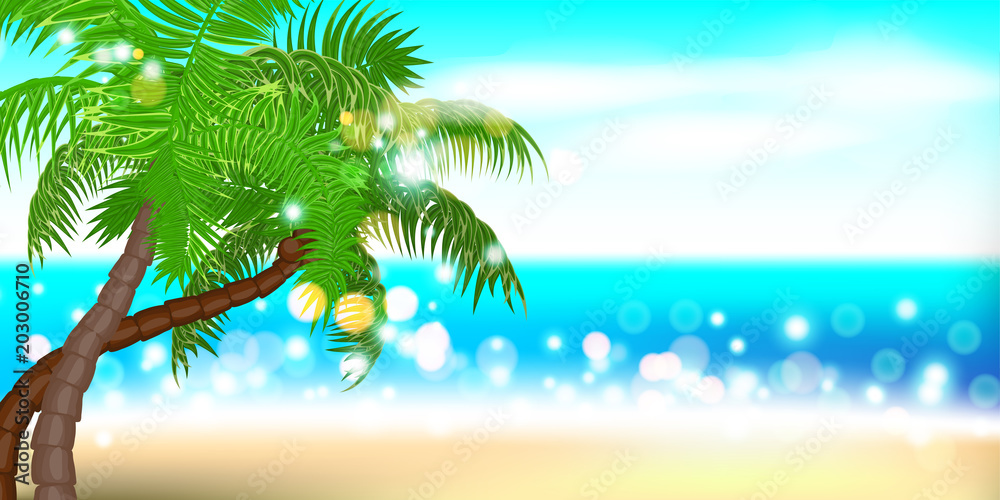Horizontal summer time palm tree banner. Palm leaf seashore sand beach. Ocean poster sunny tropical vector illustration. Hawaii landscape paradise. Colored party invitation.
