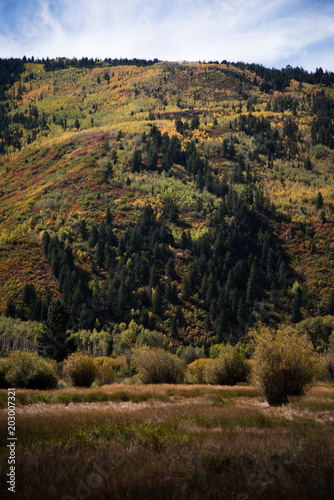 Autumn mountain landscape near Aspen, Colorado. 