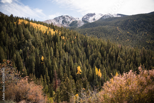 Fototapeta Jesieni góry krajobraz blisko osiki, Kolorado.