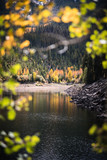 A lake near Aspen, Colorado surrounded by autumn trees. 