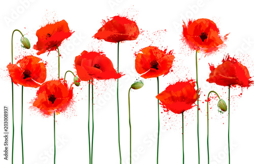 Fototapeta Streszczenie piękne tło z czerwonymi kwiatami maków. Wektor.