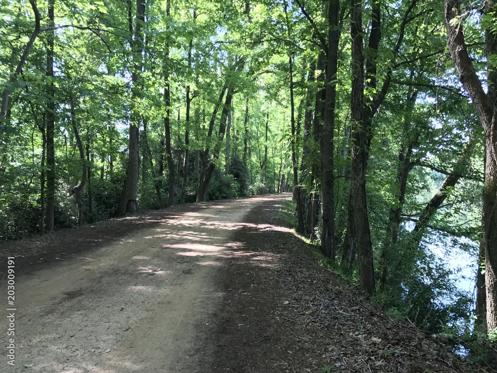 Rapids Trail