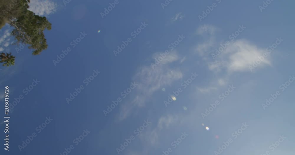 Reflection Plate of a Driving Plate: This view shows only the sky and objects seen above the car as it travels on Highway 1 from California Incline to Beach House Way in Santa Monica, California. Reflection Plate of a Driving Plate: This view shows only the sky and objects seen above the car as it travels on Highway 1 from California Incline to Beach House Way in Santa Monica, California.