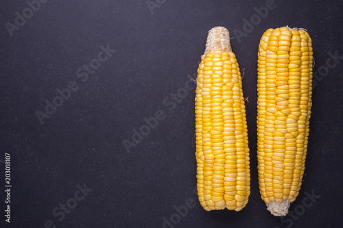 Fresh yellow sweet corn on the cob photo