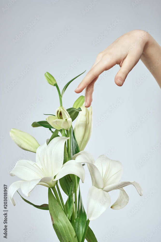 Fototapeta premium hand with flower isolated on white background