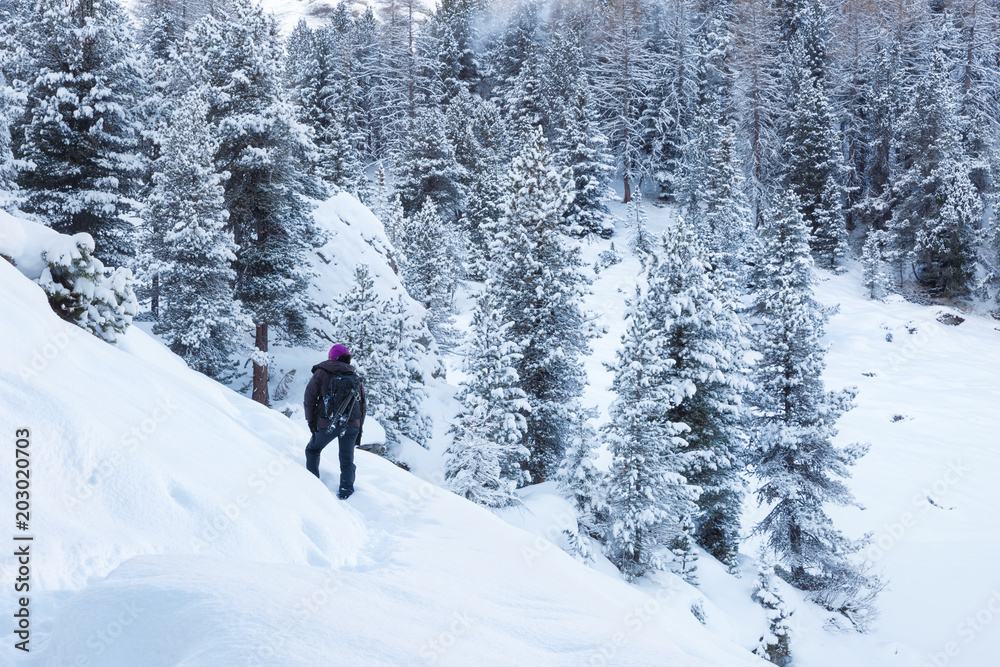 Hiker in mountain and forest during winter