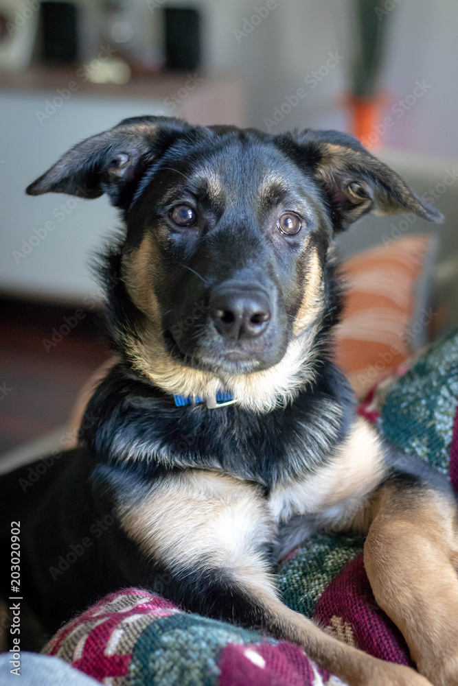 Odin Odin