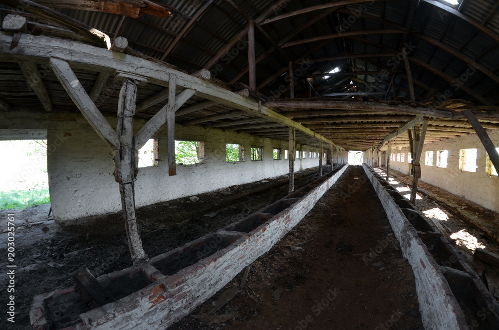 Abandoned ruined milk farm in 1 kilometer near Chernobyl area border
Abandoned ruined milk farm in 1 kilometer near Chernobyl area border