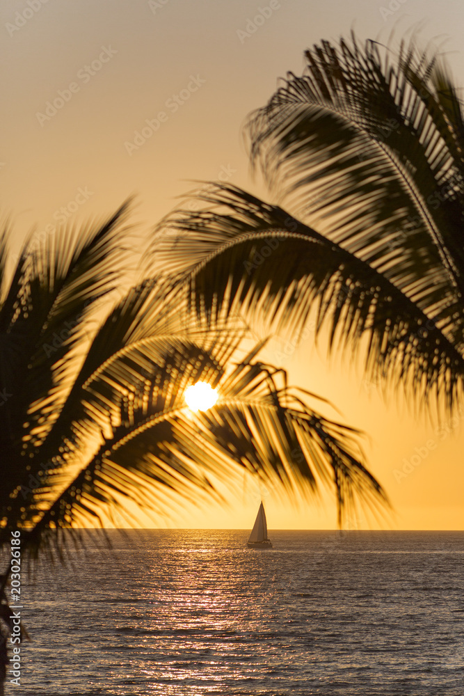 Sail boat at orange sunset and palm trees in Puerto Vallarta, Mexico