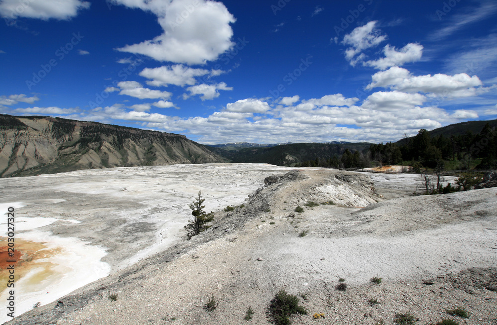 Mammoth Hot Springs Lower Terrace in Yellowstone National Park in Wyoming United States Mammoth Hot Springs Lower Terrace in Yellowstone National Park in Wyoming United States