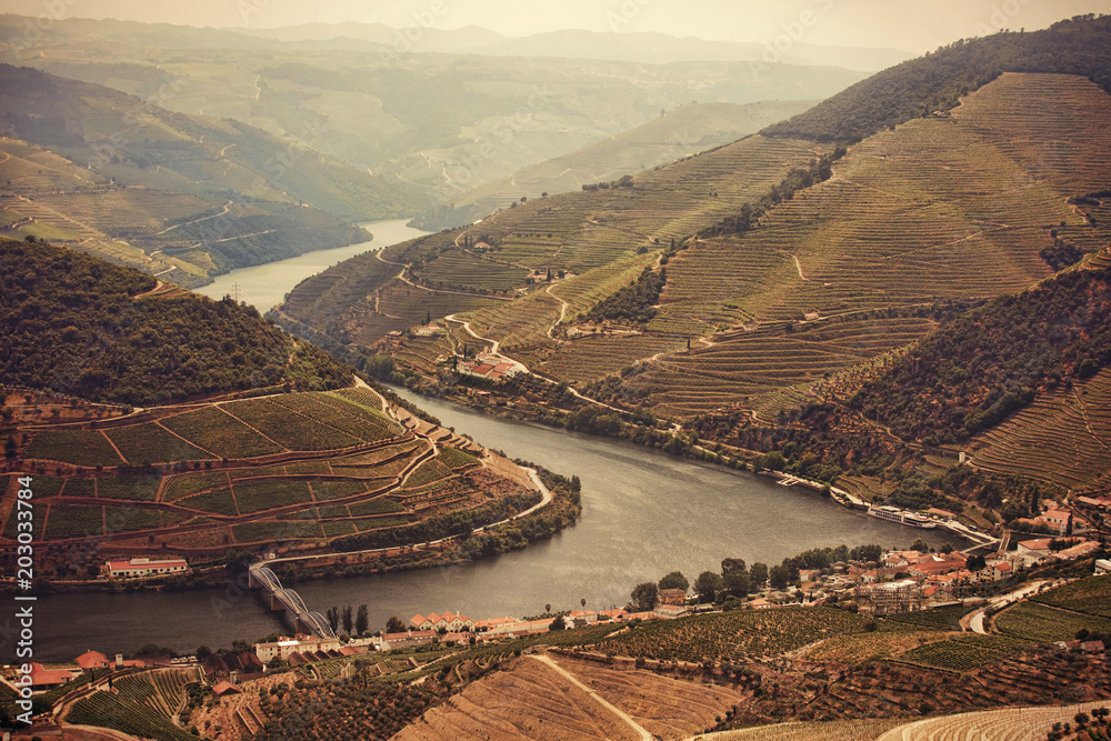 Landscape of Douro Valley, Porto, Portugal. Vineyards, port wine production
