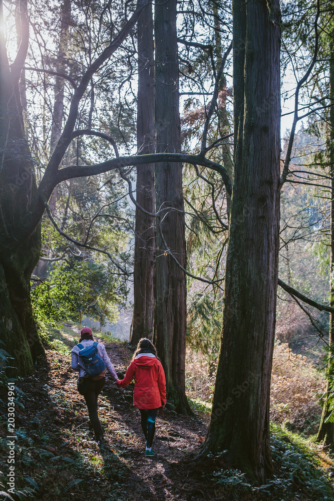 Travellers couple walking in forest