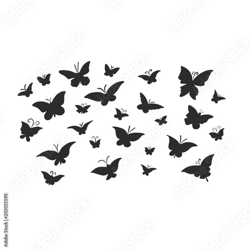 Butterflies are black on white background. Patterned insects isolated.  © maestrovideo