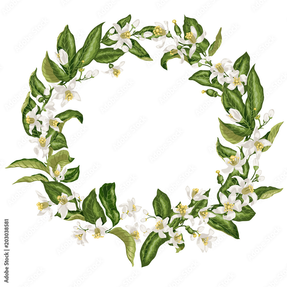 Fototapeta premium Wreath in vintage style with citrus flowers in shape of a circle with limon, mandarin, lime and orange flowers, leaves, tiny fruits and buds